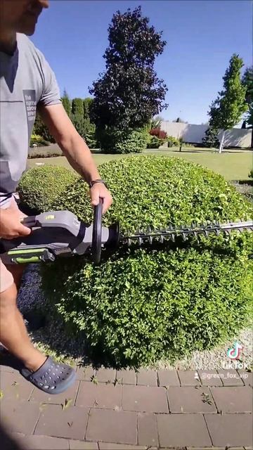 Стрижка самшита. #garden #gardening #Самшит #шарік #садівник #са