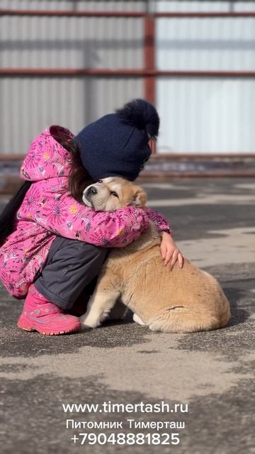 Помет Щ и Э сезона 2024 Есть щенки Доставка по миру +790488818 смотреть онлайн