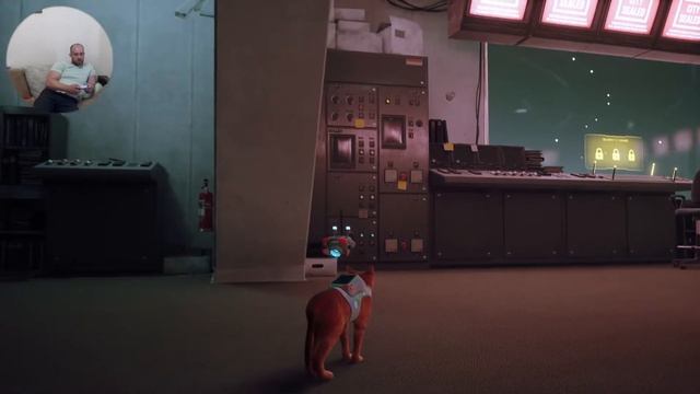 Stray - похождения блудного котЭ на ps5 смотреть онлайн