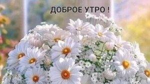 ЗОЛОТАЯ ОСЕНЬ🍁🍂🍃 В ПЕРМСКОМ КРАЕ. РАННИМ УТРЕЧКОМ