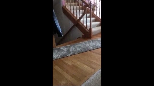 ЛУЧШИЕ ПРИКОЛЫ - Вот это прикол смотреть онлайн