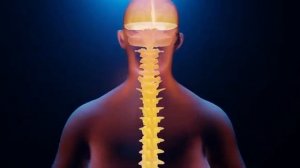 🌀Остеохондроз шейного отдела. Матрица Гаряева Квант?