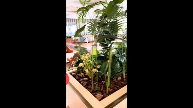 ОБЗОРНАЯ ЭКСКУРСИЯ НА ОТЕЛЬ ADENYA HOTEL&RESORT (2 ЧАСТЬ)/ АЛАНЬ? смотреть онлайн