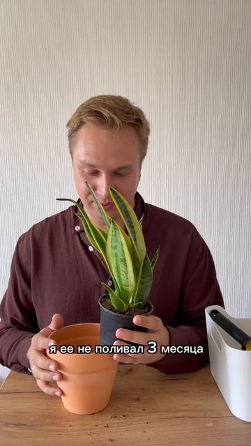 Какие еще растения супер легкие по вашему опыту?🪴. #са смотреть онлайн