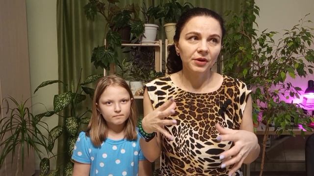 Спасаем замиокулькас, и ставим листики на укоренение смотреть онлайн