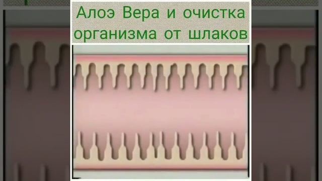 Очищение, ичегилерди тазалоо смотреть онлайн