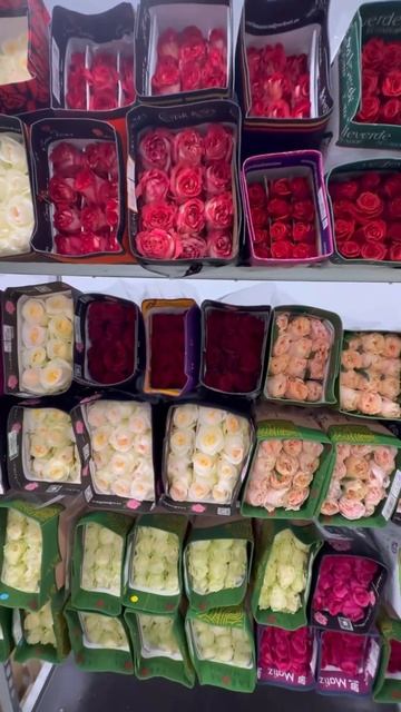 Мы начинаем сезон самых красивых цветов в мире 🫶🏻 пи смотреть онлайн