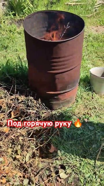 Не учи жить 😂 #рек #юмор #прикол #озвучка #семья #рек #ре смотреть онлайн