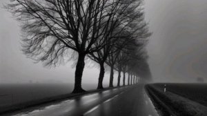 В каждом сердце есть больная рана. Скрипач.