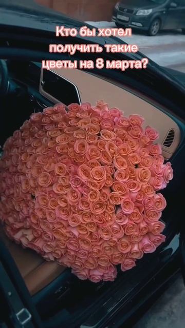 ZABAVA - ПионыВ сети 1 марта! #рек #цветы #пионы смотреть онлайн