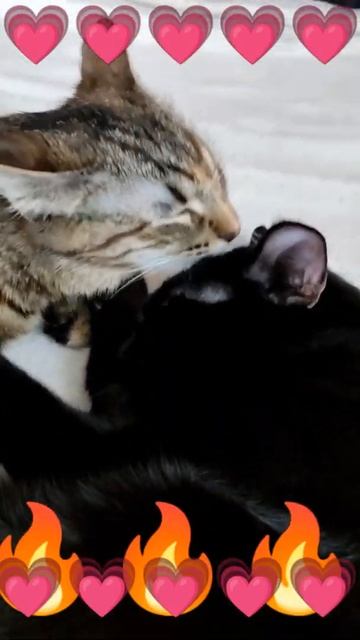 Мы беззаветные герои все! И свята наша жизнь есть борь смотреть онлайн