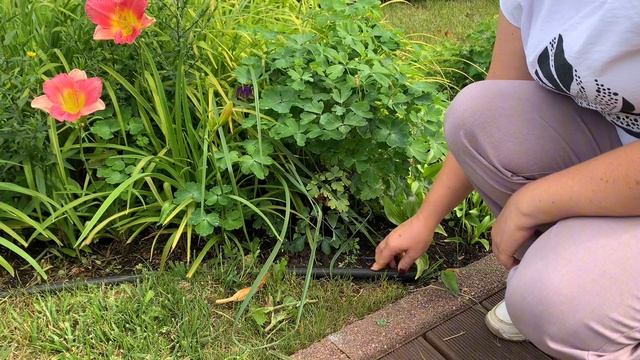 Как создаются красивые сады на примере питомника садо