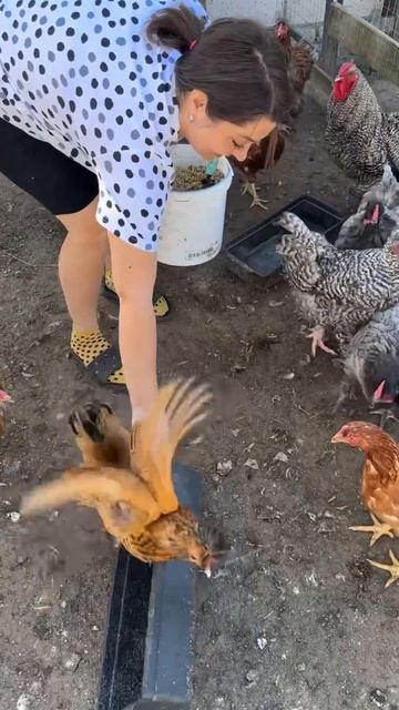 Утро в деревне за 5 минут #жизньвдеревне #жизньзагород? смотреть онлайн