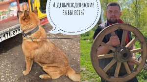 День начался с рыбалки Пса Кубика, закончился ёжиком, а между был стрим и Новый Год Артёма