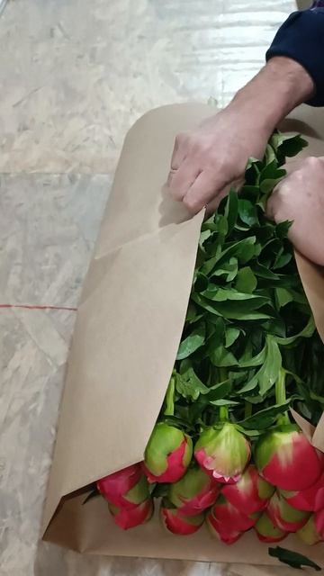 #пионы #цветы #краснодар смотреть онлайн