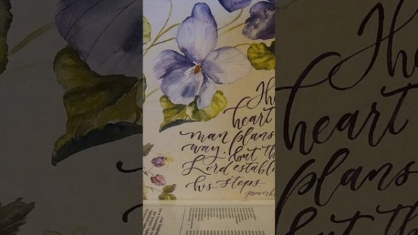 Lavanda #софияротару #lavanda #лаванда