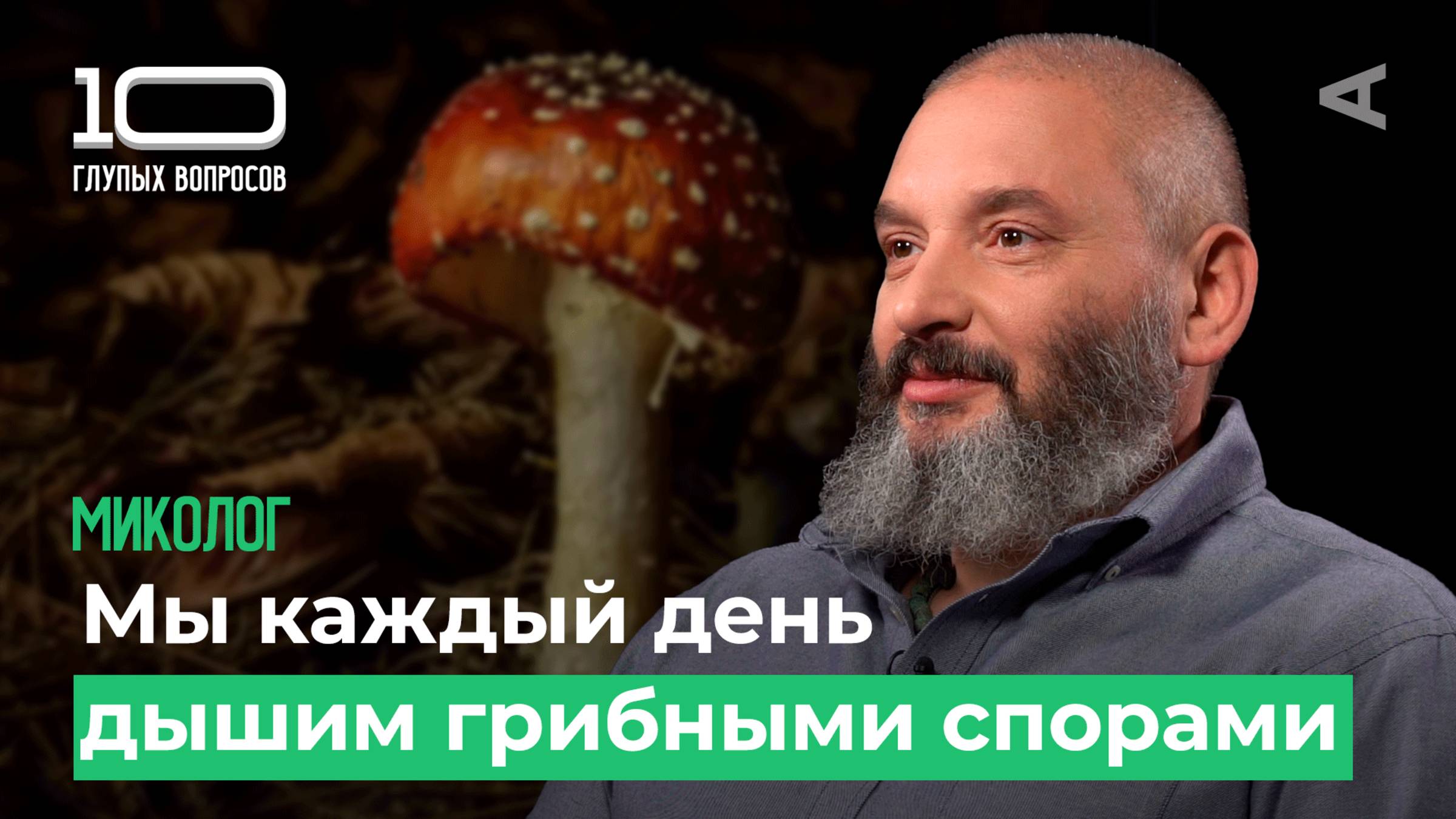 10 глупых вопросов МИКОЛОГУ смотреть онлайн