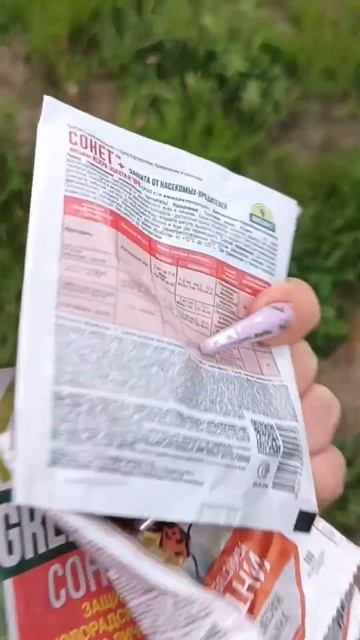 Колорадский жук ест мои лилии😠 #садмечты #цветы #лили? смотреть онлайн