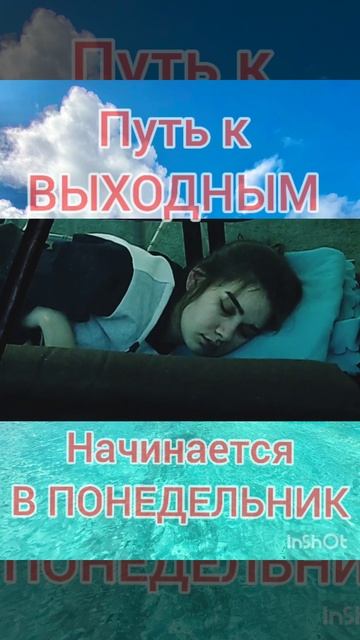 Понедельник на работу#работа#понедельник#врек #прикол #выходной смотреть онлайн