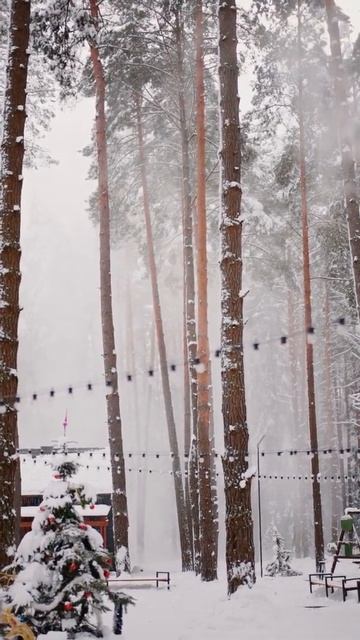 Зимний пейзаж смотреть онлайн
