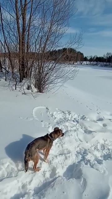 Бррр.... любить холодное может быть и полезным🫣🥶🥶🥶? смотреть онлайн