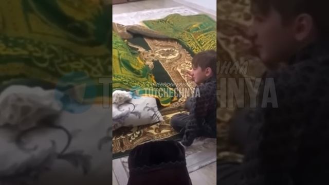 У Чеченского мальчика умер отец мать брат сестра #чече смотреть онлайн