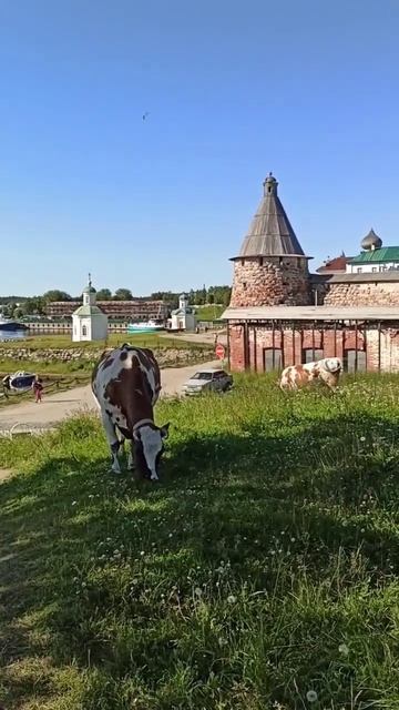 Белое море, Соловки, монастырь, бухта Благополучия.