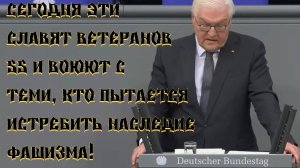 Зеленский славит эсэсовцев но не освободителей
