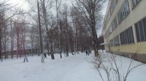 Прогулки на лыжах