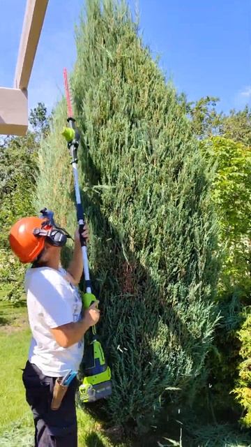 Зажигаем с кусторезов вокруг большого можжевельника # смотреть онлайн