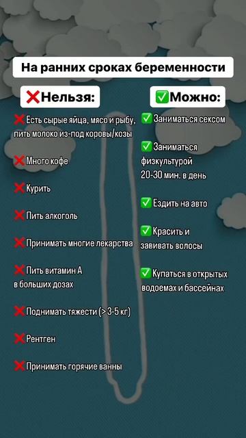 Что можно, что нельзя на ранних сроках беременности🤰? смотреть онлайн