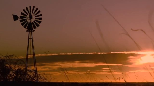 МИСТИЧЕСКИЕ ЗАГАДКИ НА КОТОРЫЕ НЕТ ОТВЕТА [Белый кот] смотреть онлайн