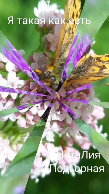Я такая как есть... Весь стих на канале смотреть онлайн
