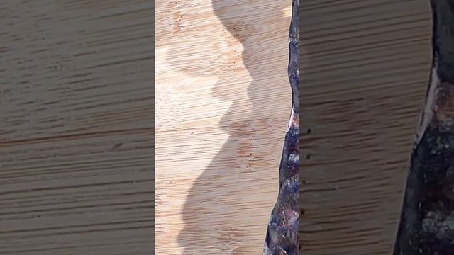 27 ноември 2023 г. Гледичия,Gleditsia triacanthos,противораково де? смотреть онлайн