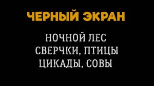5 Часов под Звук Ночного Леса. Черный Экран. Белый Шум. Звуки Сверчков, Птиц, Цикад, Совы