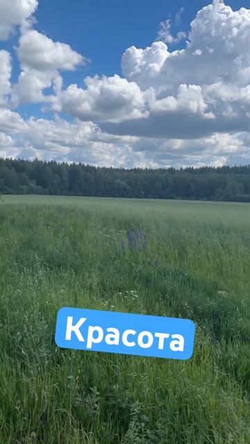 #ведьма #алтея #tarot смотреть онлайн