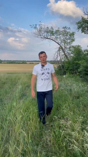 Гречишное поле. #мёд #пчела #bee #honey #гречишныймёд смотреть онлайн