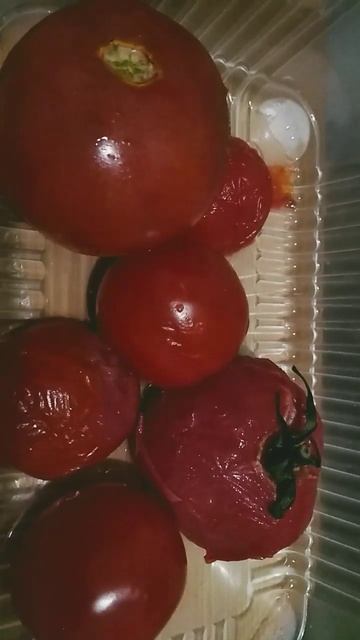 На балконе всё может замёрзнуть.Мята нет. смотреть онлайн