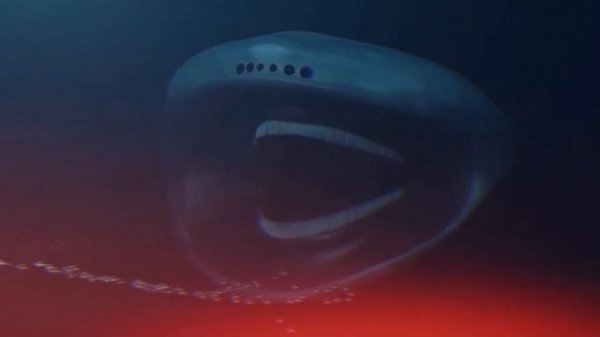 Песня Клип РАЗНОЦВЕТНЫЙ ЭЛЬ ГРАН МАЙА El gran maja МОРСКО