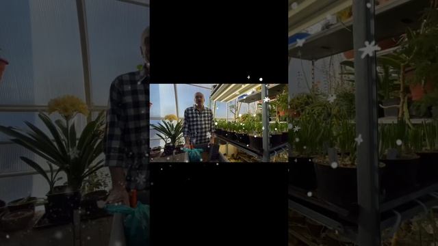 02 сезон 02 серия Ландыши