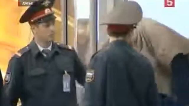 АВИА ДЕБОШ на рейсе Новосибирск Владивосток смотреть онлайн