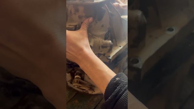 Сборка ремонт кпп ZAZ Forza, Chery Amulet заз форза , чери амулет