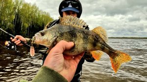 Голодные Щуки и Окунь АТАКУЮТ ПРИМАНКИ. Здесь Много Рыбы! Рыбалка на спиннинг 2025. река Волга.