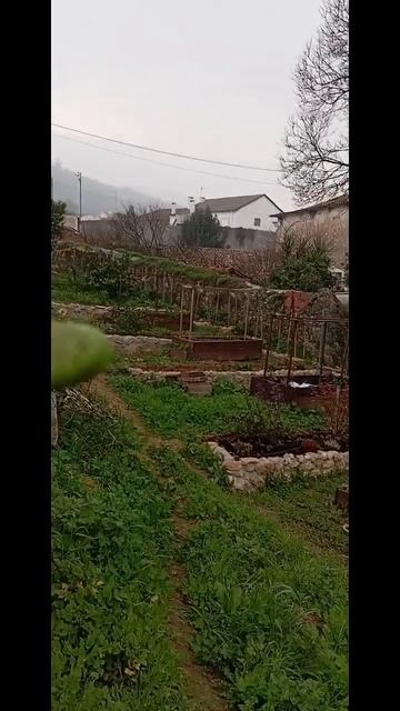 Horta Em Pedra , Feita Por Mim!! Грядки из камня.