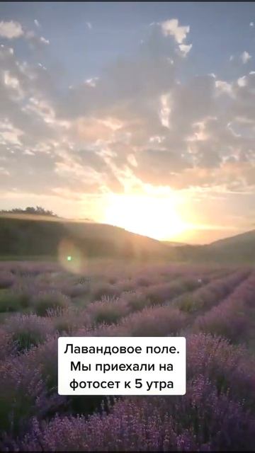 Маленькая Франция в России #лавандовоеполе#лаванда#ан смотреть онлайн