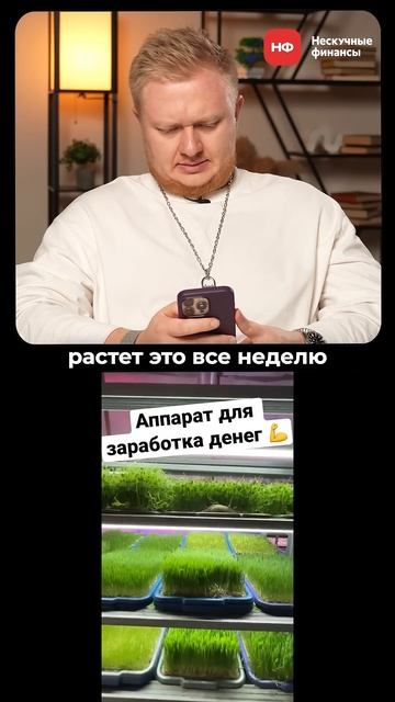 Бизнес на микрозелени: СТОИТ ЛИ НАЧИНАТЬ в 2025? #бизнес # смотреть онлайн