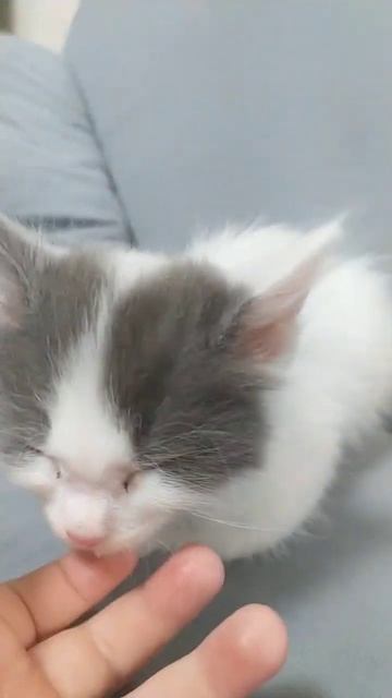 #мял смотреть онлайн