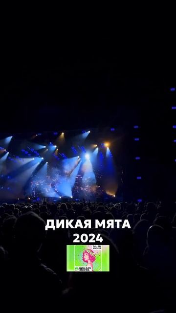 Фестиваль «Дикая Мята 2024» #дикаямята #лето #тула смотреть онлайн