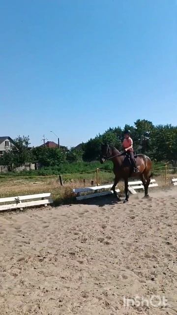 Прыжки с моей тренировки. (Если что тут есть ошибки). смотреть онлайн