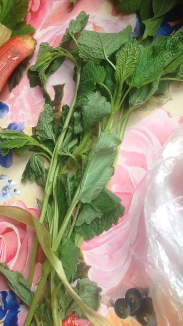 Мелисса для дыни смотреть онлайн